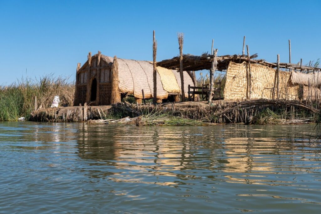 Mesopotamian Marshes