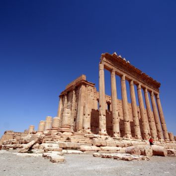 Palmyra