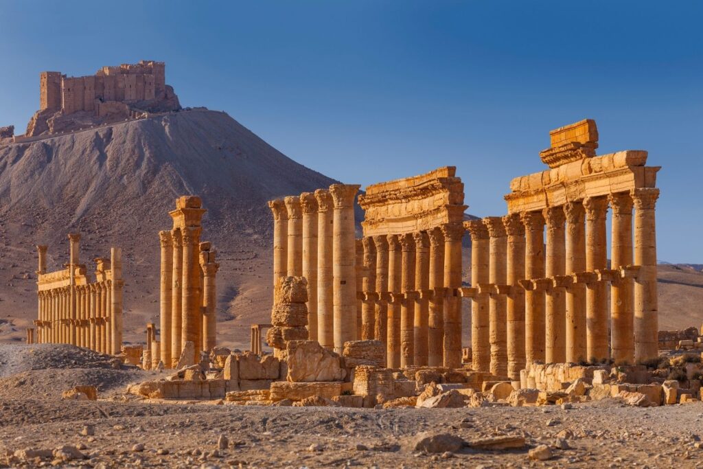 About Us Palmyra Syria