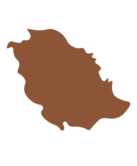 Saudi Arabia map